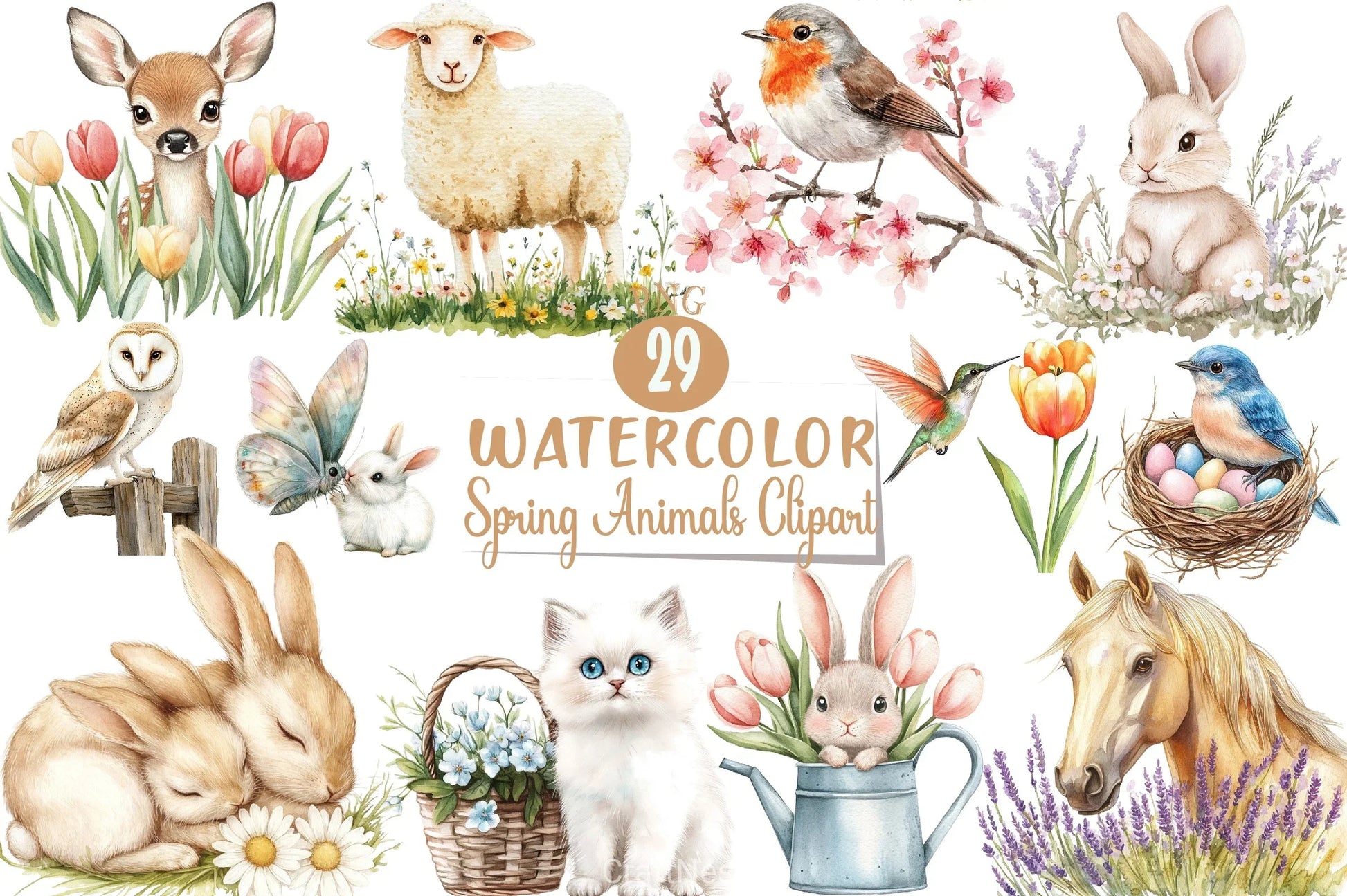 Spring Animals Clipart Bundle - CraftNest - Digital Crafting and Art