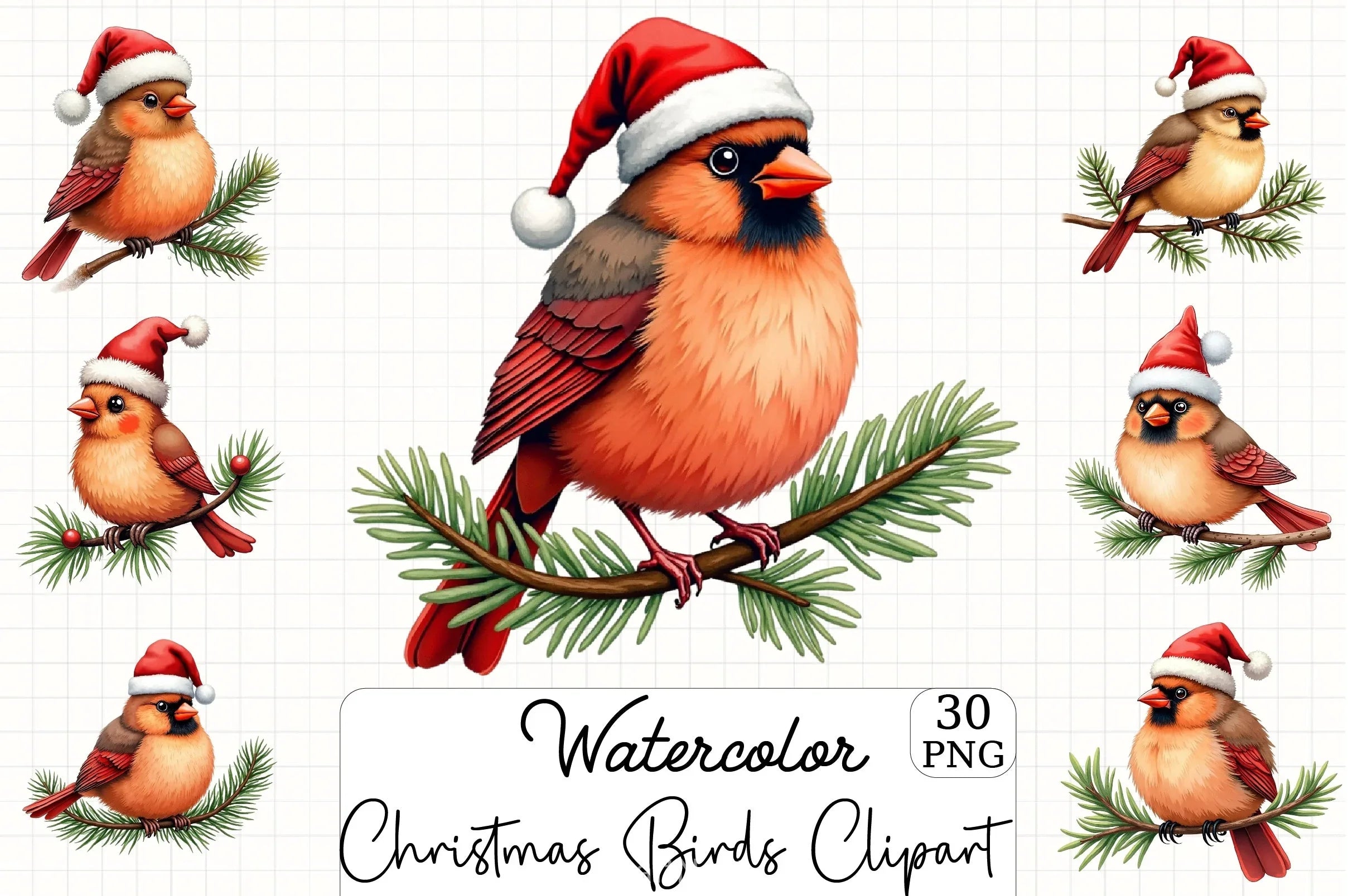 Christmas Birds Clipart Bundle - CraftNest - Digital Crafting and Art