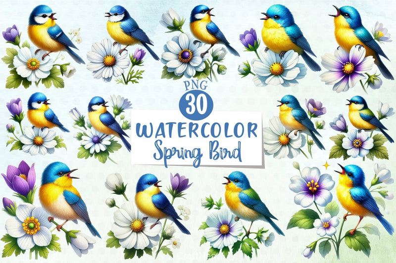 Colorful Spring Bird Clipart Bundle - CraftNest - Digital Crafting and Art