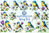 Colorful Spring Bird Clipart Bundle