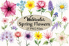 Spring Flowers Clipart Bundle