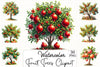 Fruit Trees Clipart Bundle