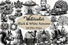 Black & White Autumn Clipart Bundle