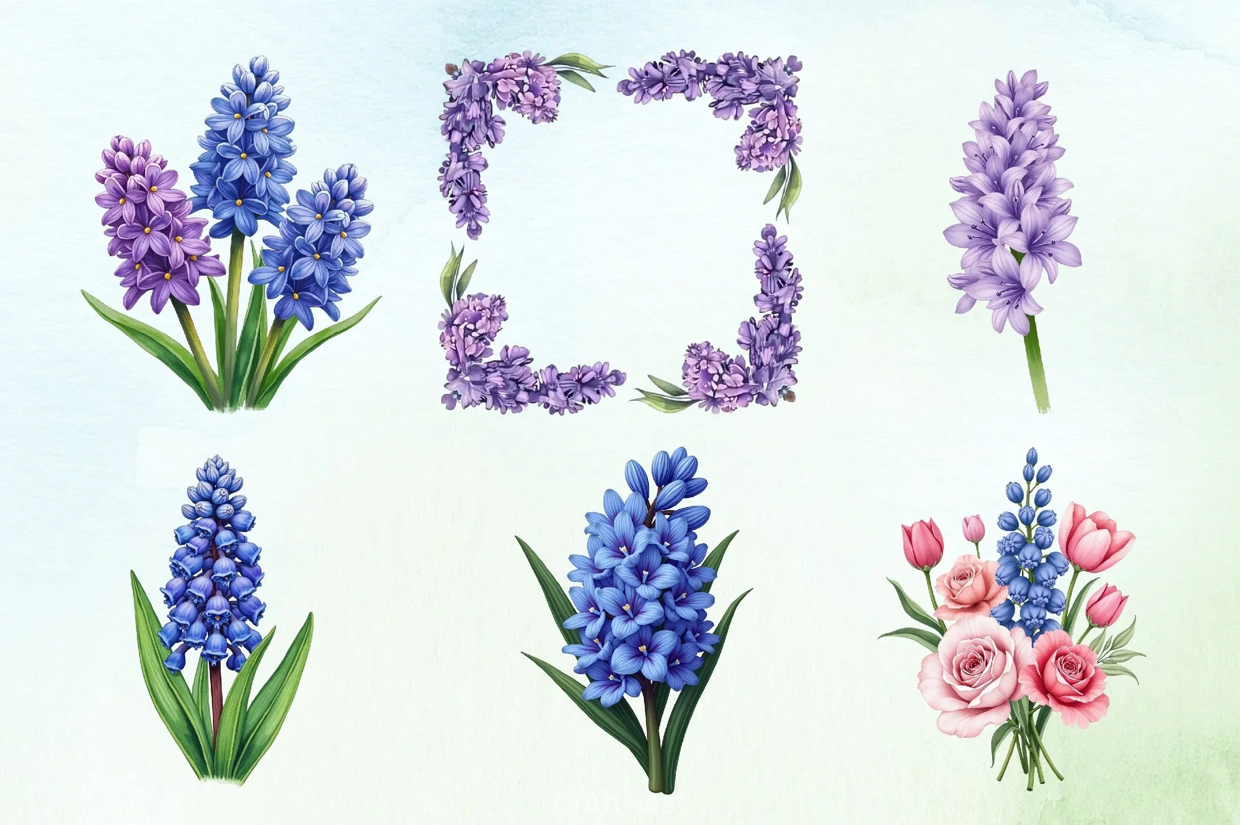 Hyacinth Flower Clipart Bundle - CraftNest - Digital Crafting and Art