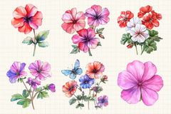 Geranium Flower Clipart Bundle - CraftNest - Digital Crafting and Art