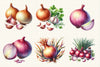 Onion Clipart Bundle