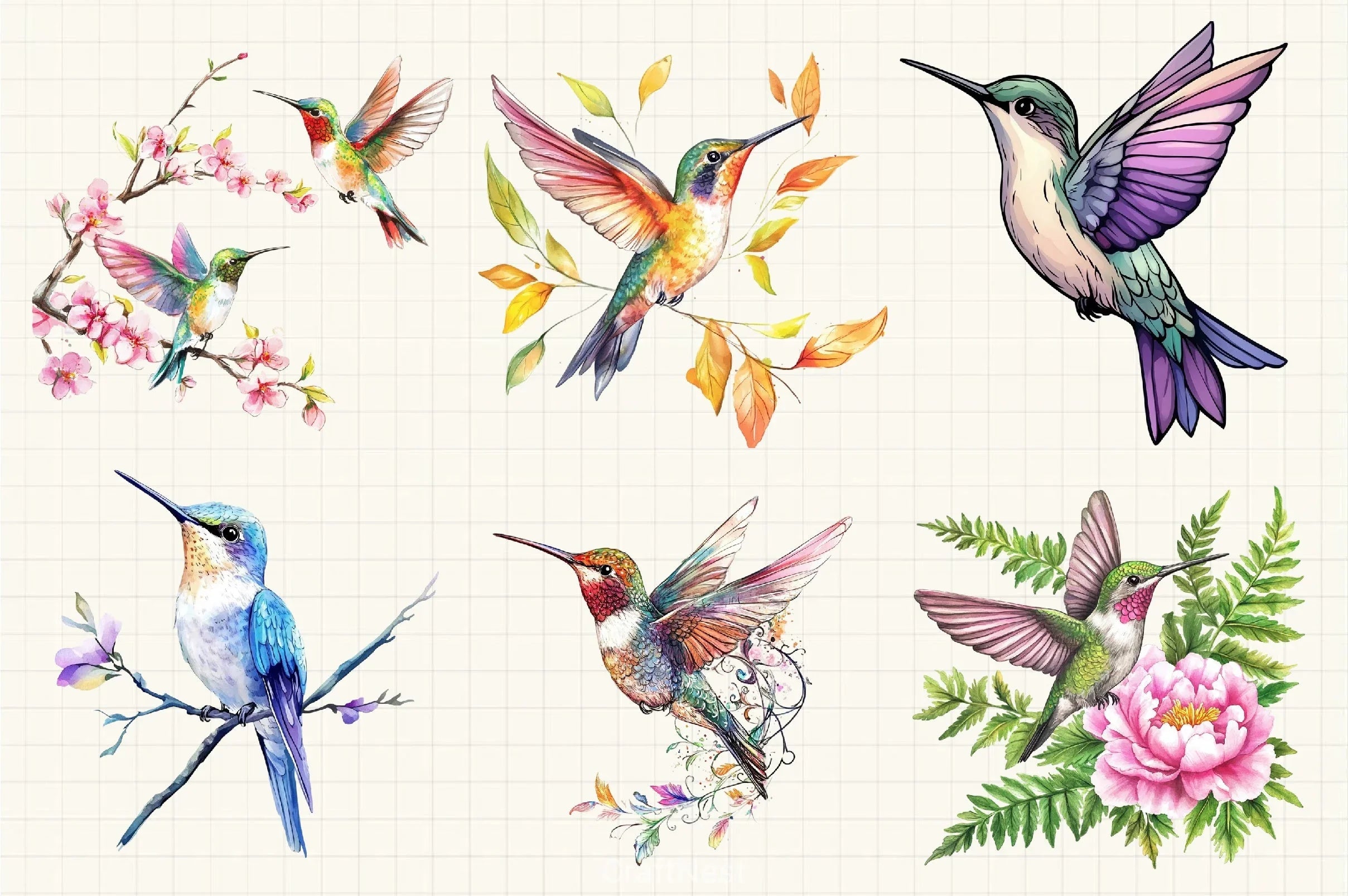 Beautiful Hummingbird Clipart Bundle - CraftNest - Digital Crafting and Art