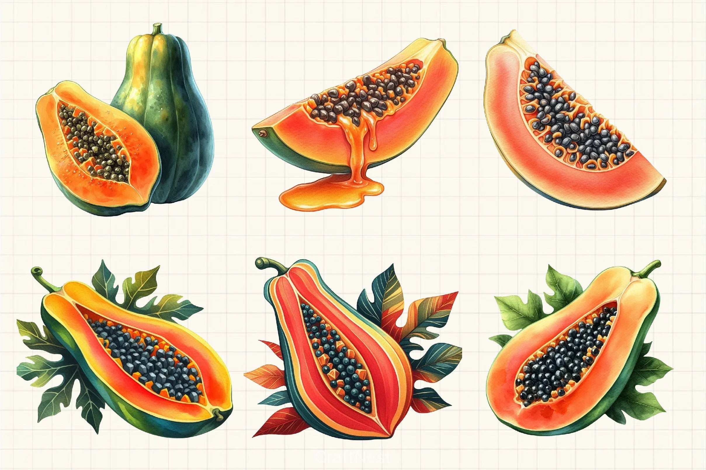 Papaya Fruit Clipart Bundle - CraftNest - Digital Crafting and Art