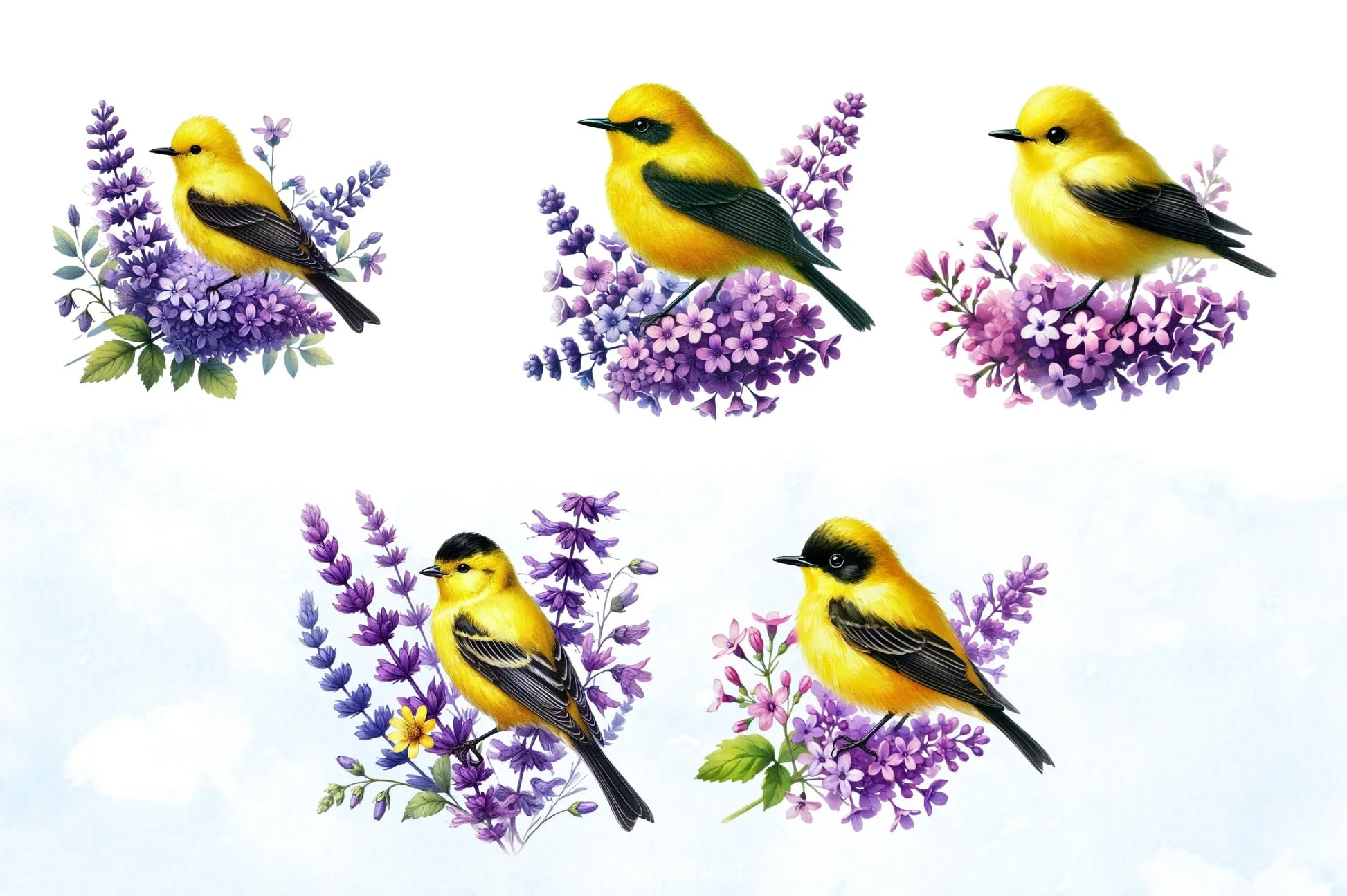 Spring Goldfinch Clipart Bundle - CraftNest - Digital Crafting and Art