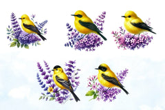 Spring Goldfinch Clipart Bundle - CraftNest - Digital Crafting and Art