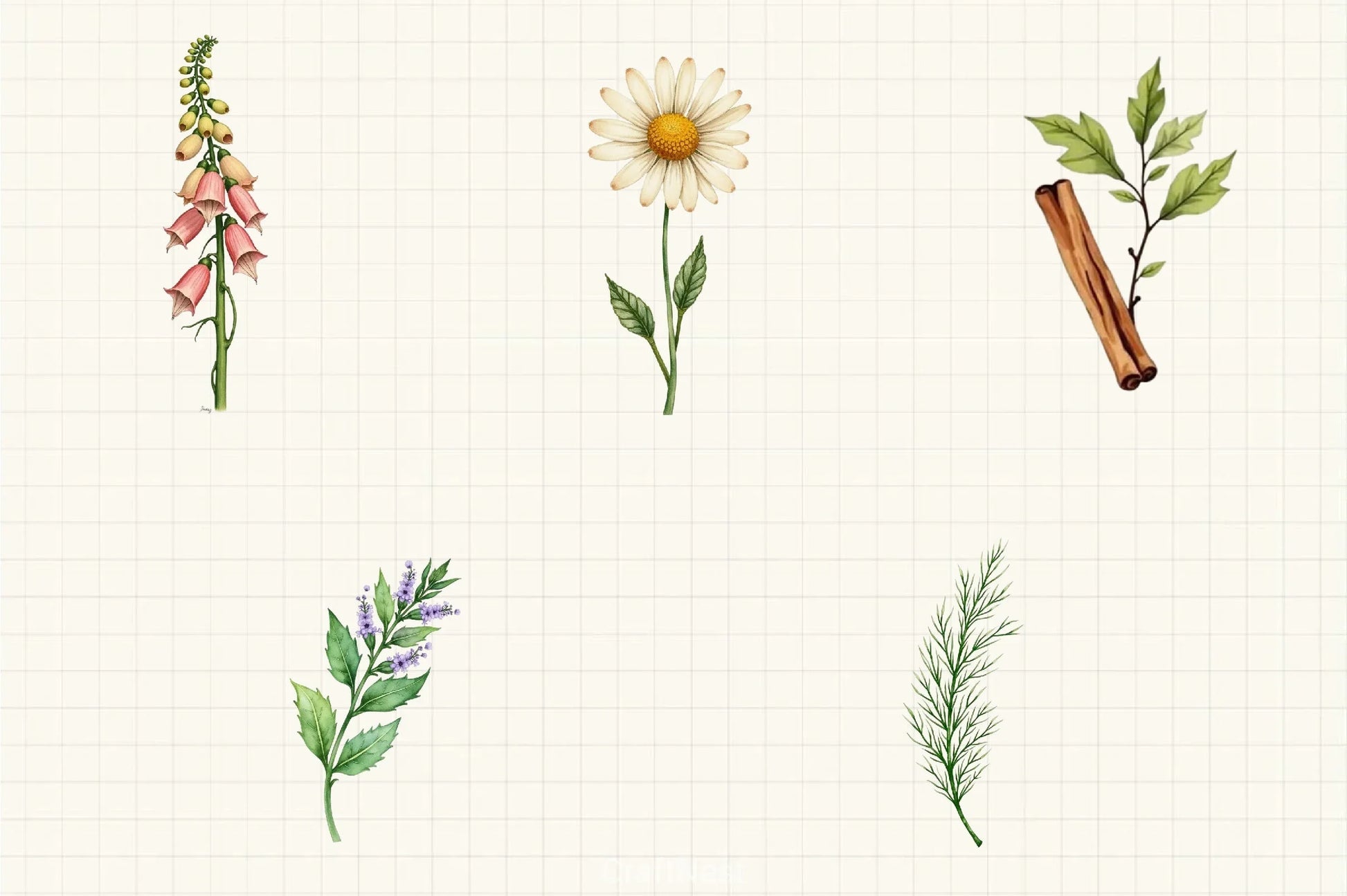 Vintage Botanical Clipart Bundle 4 - CraftNest - Digital Crafting and Art