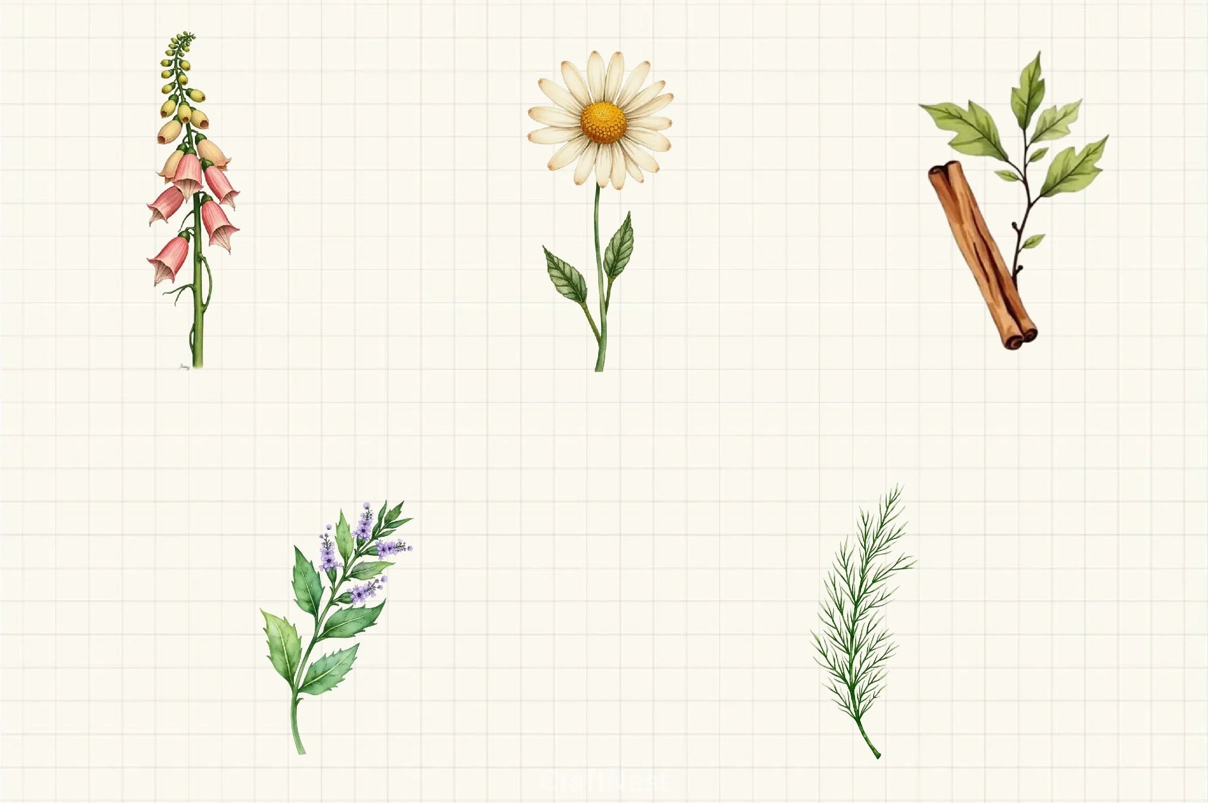 Vintage Botanical Clipart Bundle 4 - CraftNest - Digital Crafting and Art