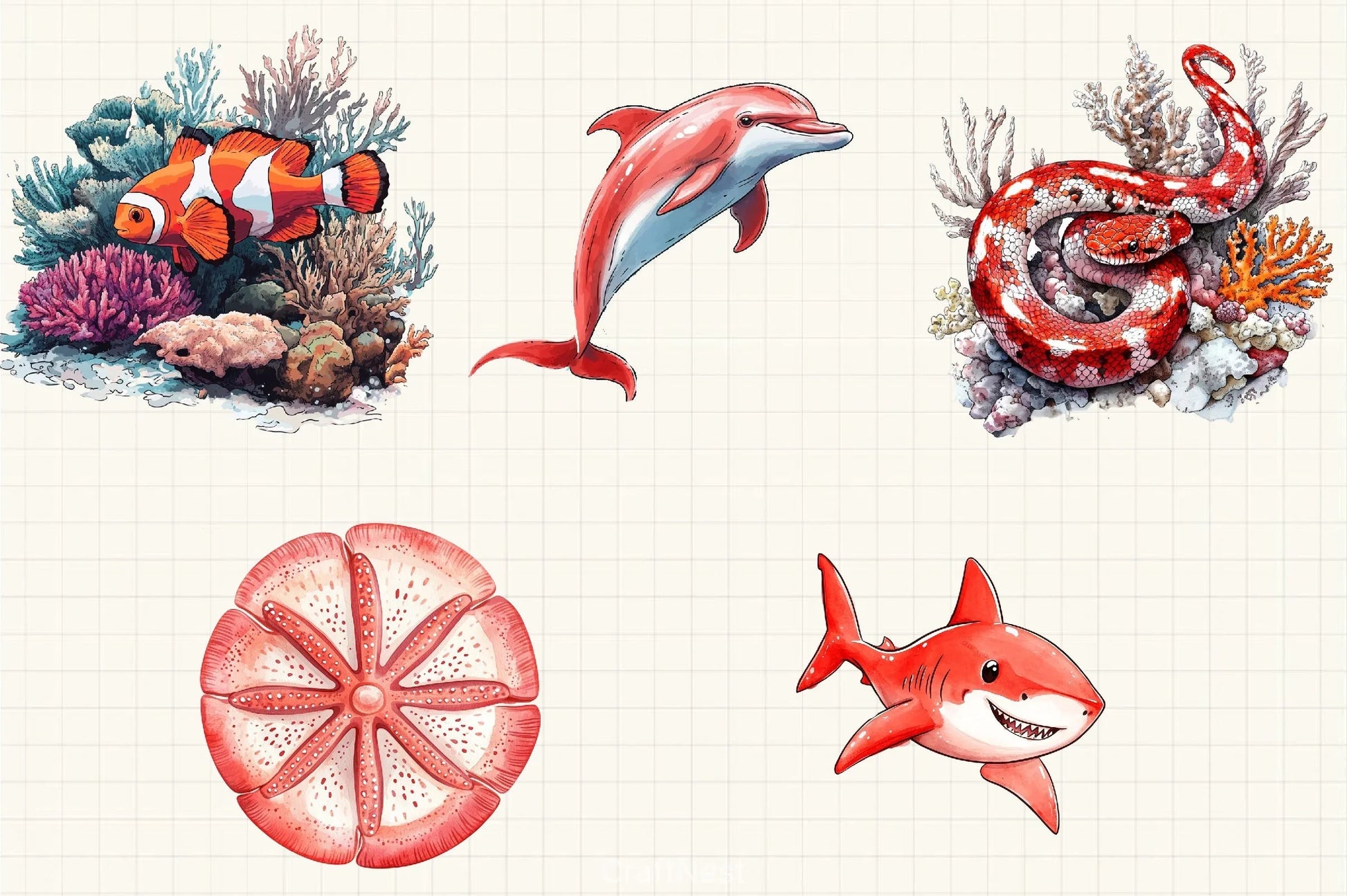 Red Ocean Animals Clipart Bundle 20 - CraftNest - Digital Crafting and Art