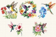 Beautiful Hummingbird Clipart Bundle - CraftNest - Digital Crafting and Art