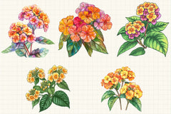 Lantana Flower Clipart Bundle - CraftNest - Digital Crafting and Art