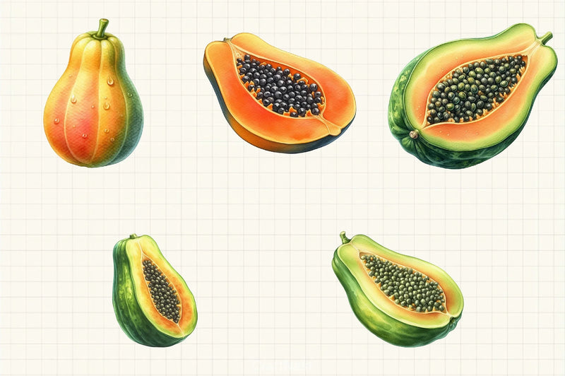 Papaya Fruit Clipart Bundle - CraftNest - Digital Crafting and Art