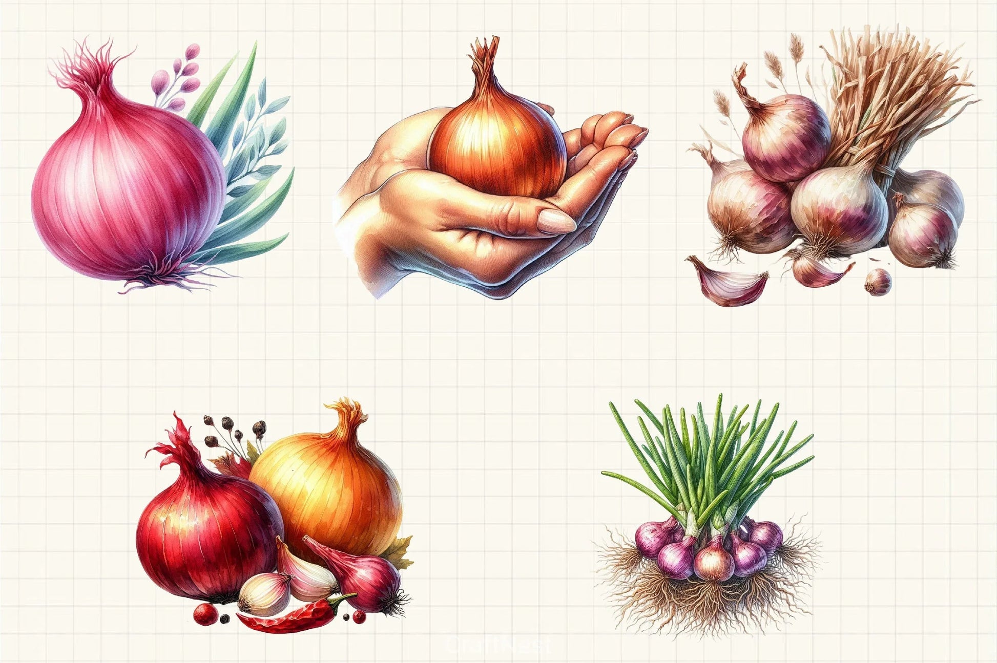 Onion Clipart Bundle 3 - CraftNest - Digital Crafting and Art