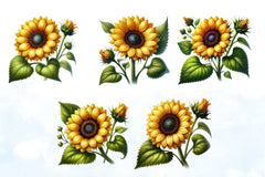 Vibrant Sunflower Clipart Bundle - CraftNest - Digital Crafting and Art