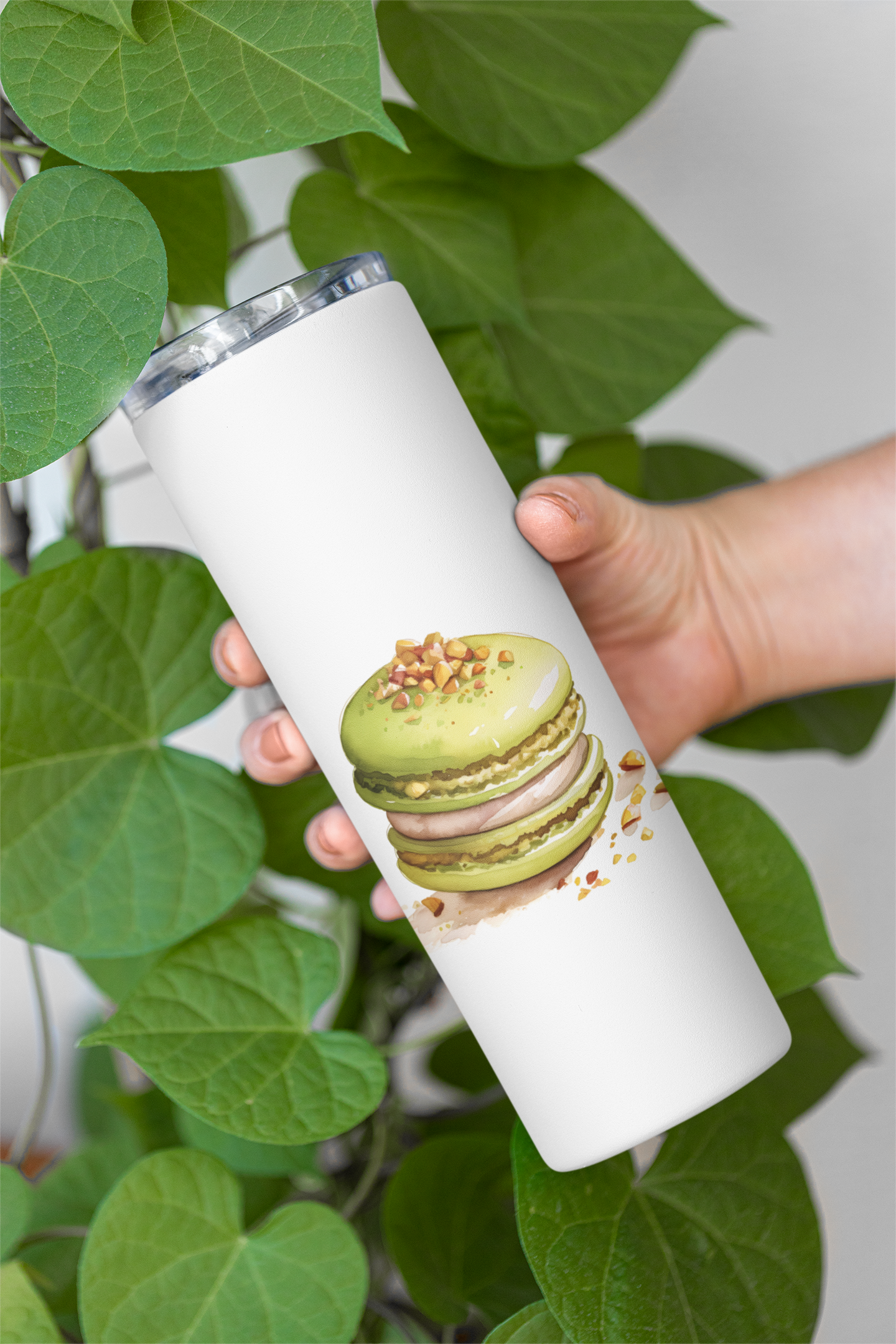 Pistachio Macarons Clipart - CraftNest