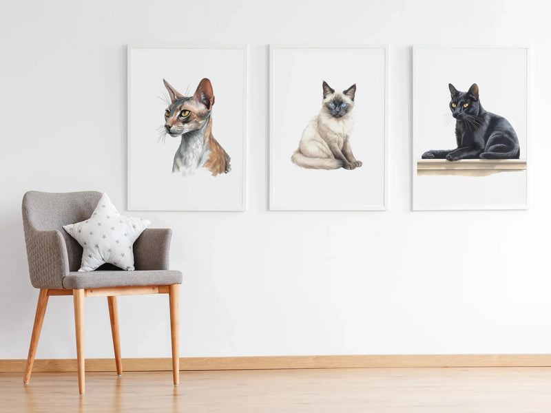Cats Clipart - CraftNest