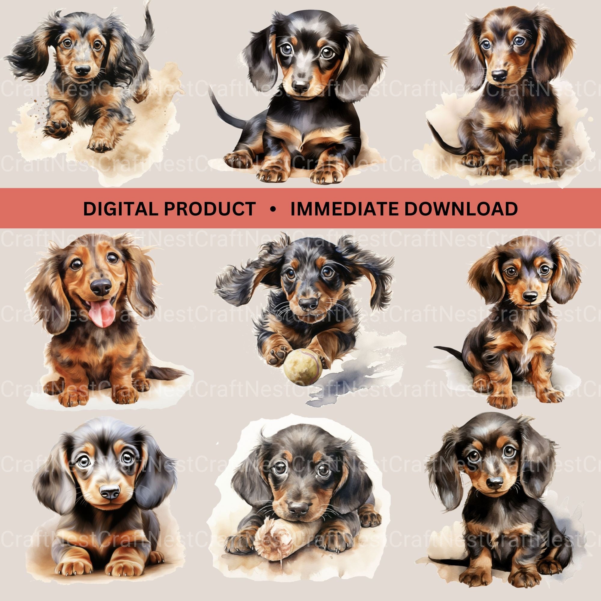 Dachshund Puppies Clipart Bundle