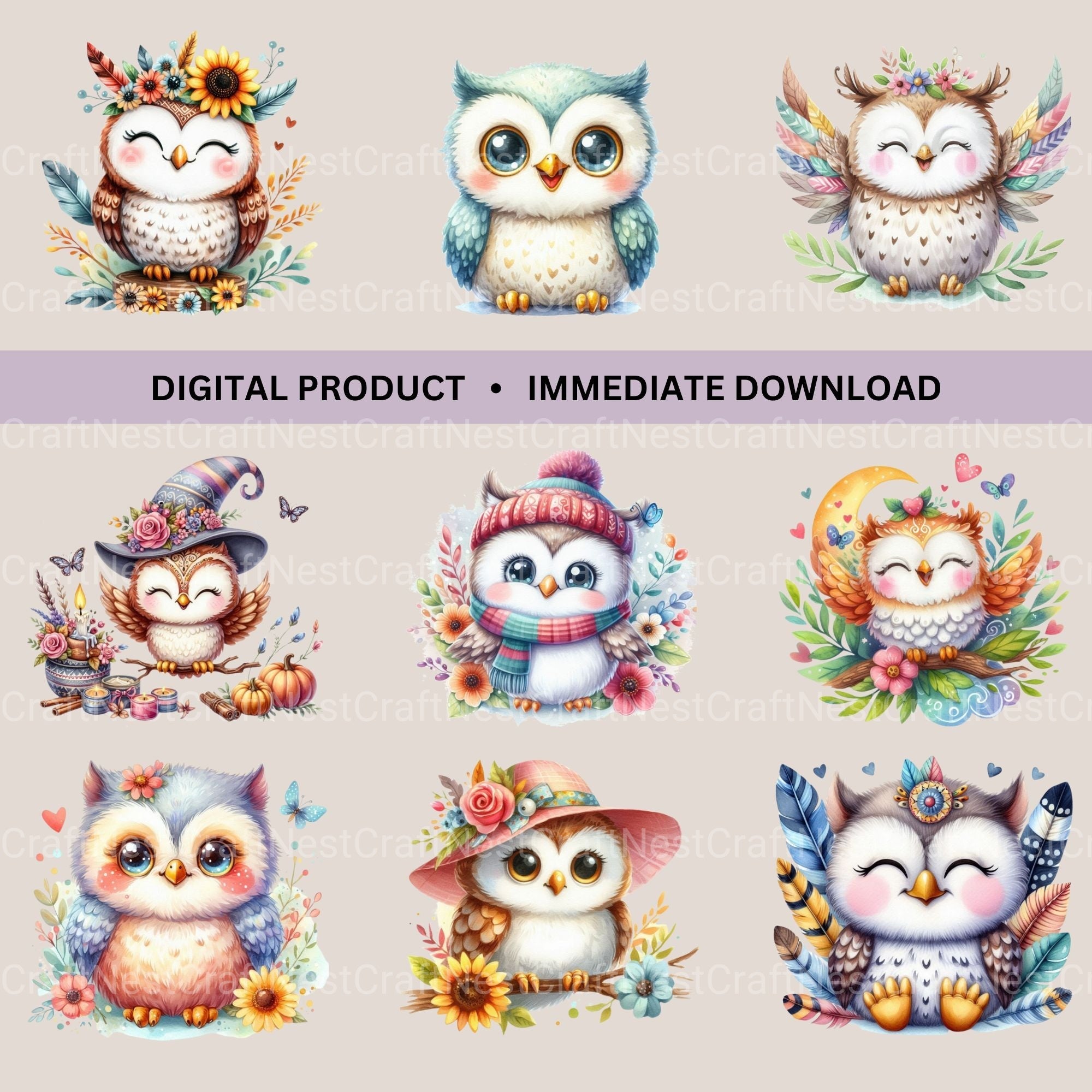 Cute Owls Clipart Bundle