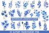 Larkspur Clipart Bundle