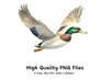 Flying Mallard Ducks Clipart Bundle