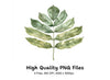 Green Leaves Clipart Bundle