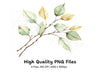 Autumn Leaves Clipart Bundle