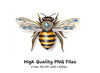 Jeweled Bee Clipart Bundle