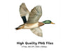 Flying Mallard Duck Clipart Bundle