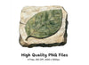 Fossilized Leaf Stone Clipart Bundle