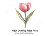 Single Tulip Flowers Clipart Bundle