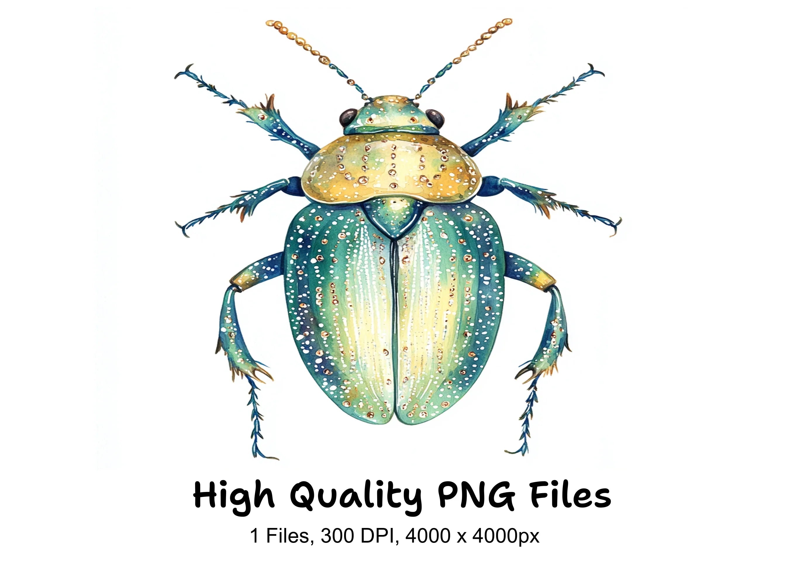 Colorful Beetle Illustration Clipart Bundle