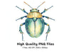 Colorful Beetle Illustration Clipart Bundle