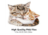 Cute Sleeping Kittens Clipart Bundle