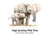 Cute Elephant Family Clipart Bundle