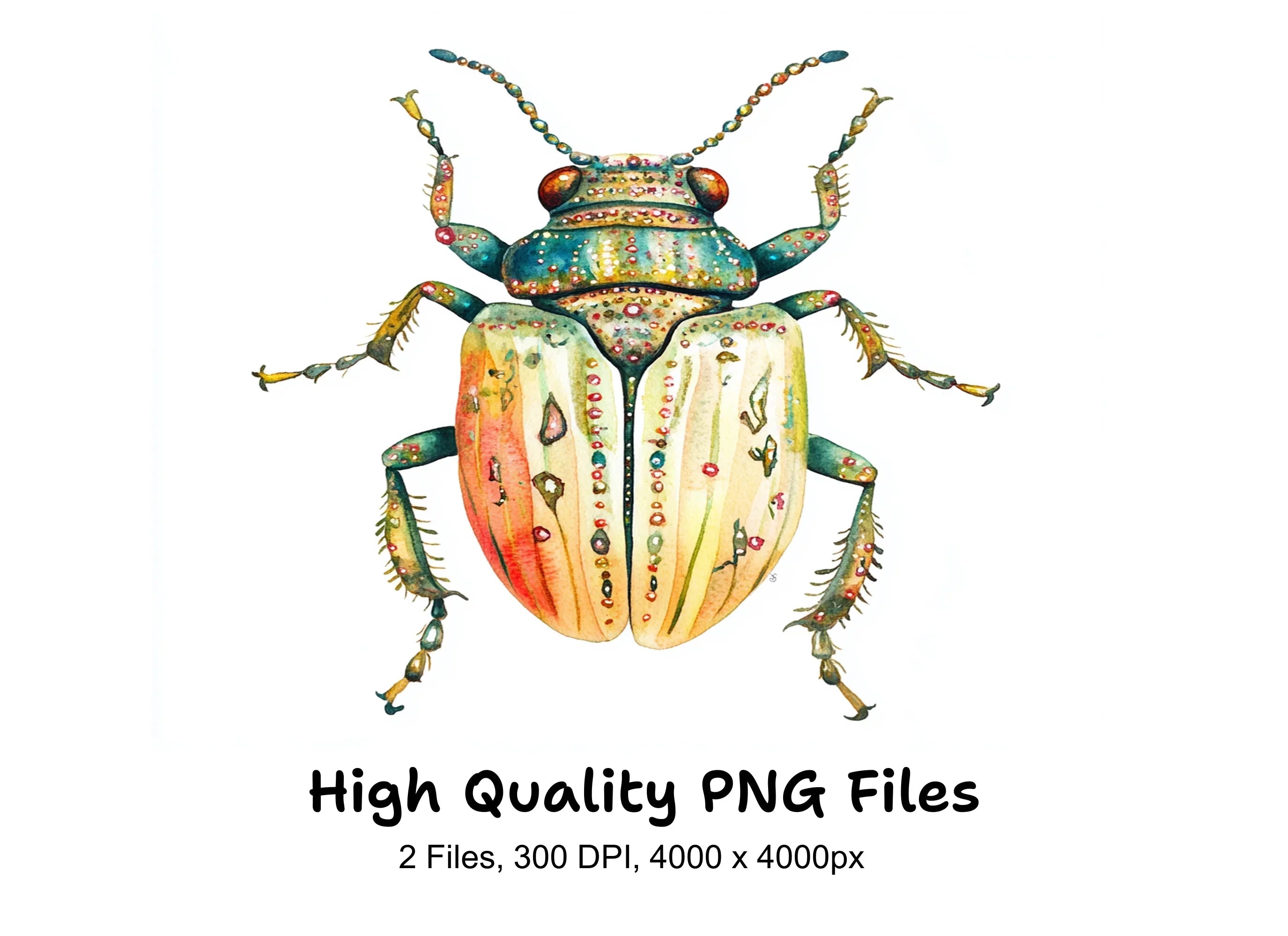Colorful Ornate Beetle Clipart Bundle