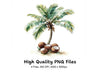 Palm Trees with Coconuts Clipart Bundle