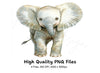 Baby Elephant Clipart Bundle