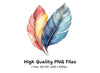 Colorful Feather Clipart Bundle