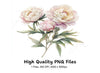 Elegant White Peonies Clipart Bundle