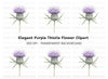 Elegant Thistle Bloom Clipart Bundle