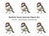 Sparrow Bird Clipart Bundle