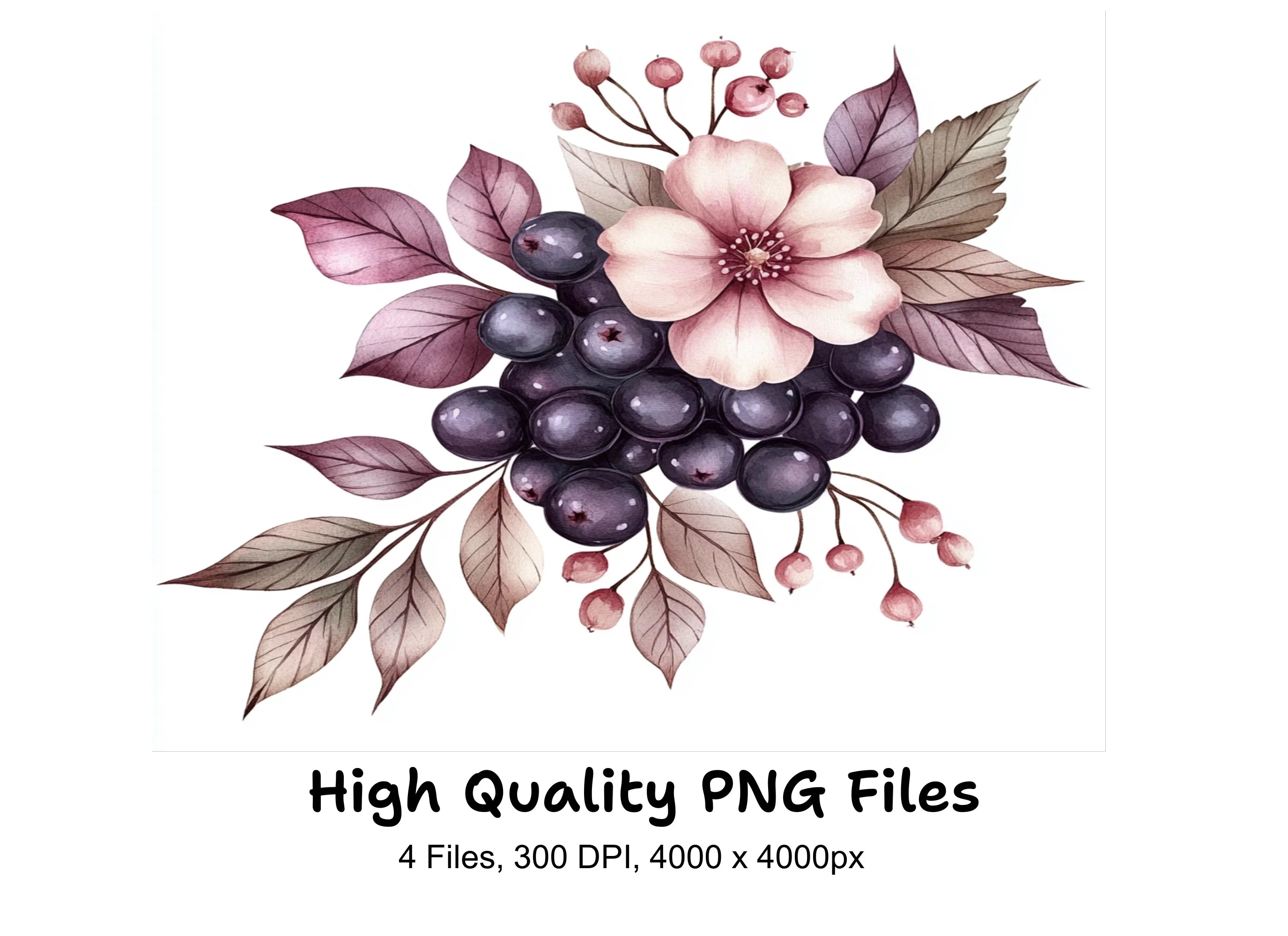 Berry Floral Clipart Bundle