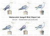 Seagull Clipart Bundle