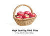 Hand Drawn Apple Basket Illustrations Clipart Bundle