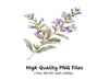 Delicate Lavender Sprig Clipart Bundle