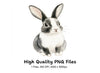 Cute Bunny Clipart Bundle